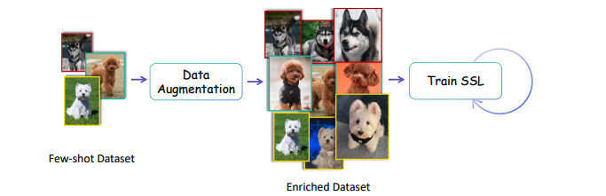 Quantum Self-Supervised Learning Boosts Feature Extraction with Entanglement Augmentation.