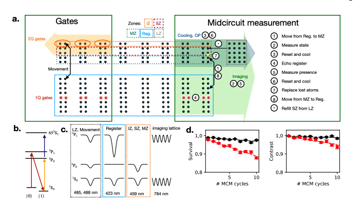 Neutral Atom Processors Demonstrate Resilience Through Atom Replacement and Coherence Say Microsoft and Atom Computing.