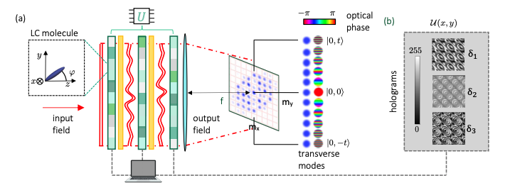 Photonic Circuits Enable Scalable High-Dimensional Quantum State Manipulation.