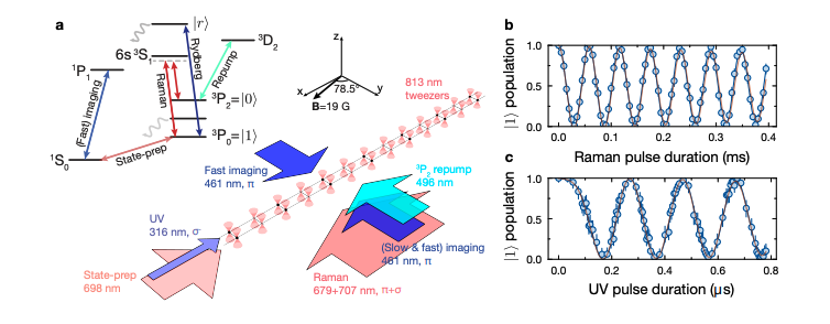 Strontium Qubits Demonstrate High Fidelity and Mid-Circuit Error Correction Potential.