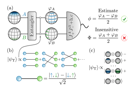 Entangled Sensor Networks Enhance Precision Beyond Standard Limits with Noise Rejection.