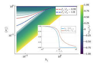 Majorana Fermions and Topological Phases in Quantum Spin Systems Revealed.