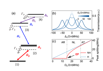 Rydberg Atoms and Exceptional Points Enhance Electric Field Sensitivity.