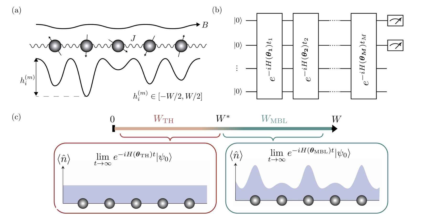 Quantum Algorithms Benefit From Many-Body Localisation For Improved Scalability.