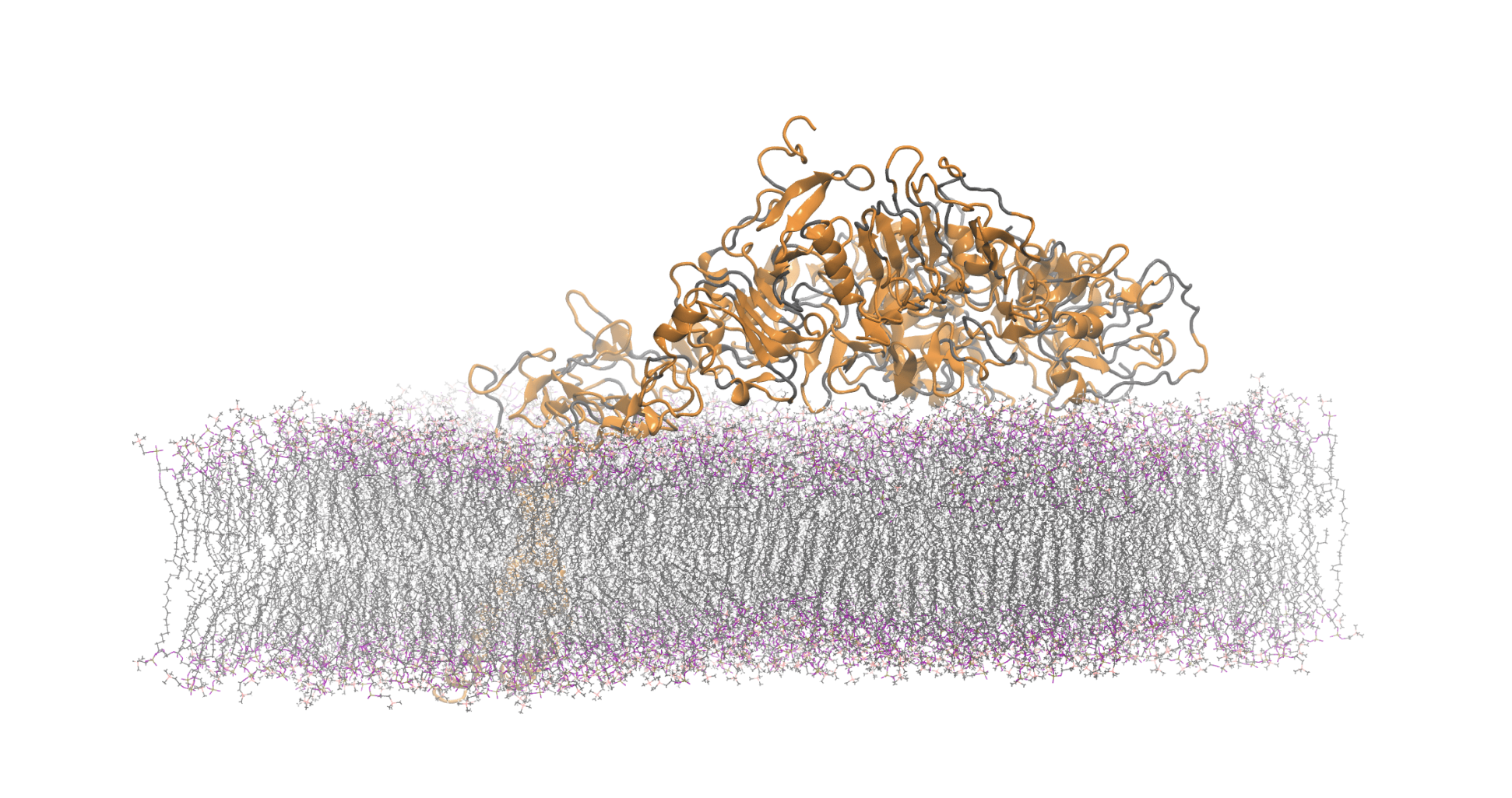 Computational Biology Performance, Power and Data Challenges on HPC Systems.