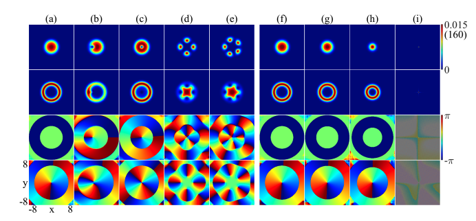Bose-Einstein Condensate Topology: Manipulating Density and Spin with Interactions.