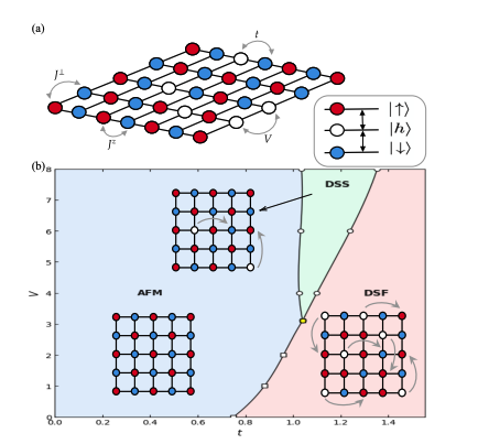 Rydberg Atom Arrays Reveal Novel Double Supersolid Phase and Order.