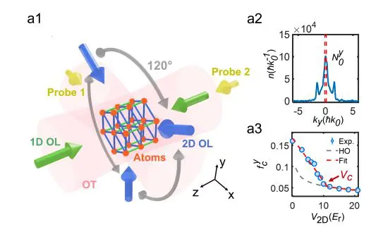 Atomic Simulator Reveals Universal Behaviour Across Dimensions and Temperature.