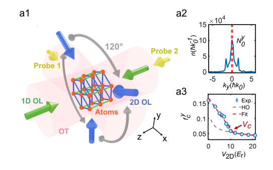 Atomic Simulator Reveals Universal Behaviour Across Dimensions and Temperature.