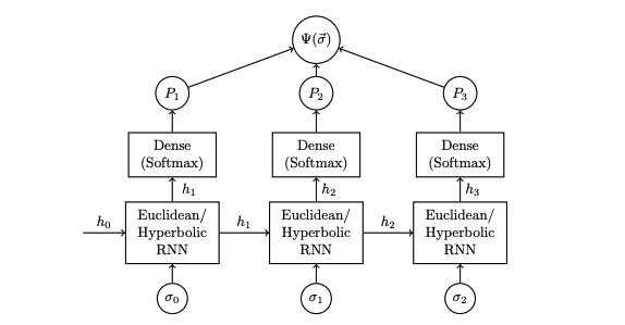 Hyperbolic Neural Networks Enhance Quantum Many-Body Problem Solutions