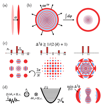 Quantum Metrology Enhances Force Sensing with Squeezed Light States.