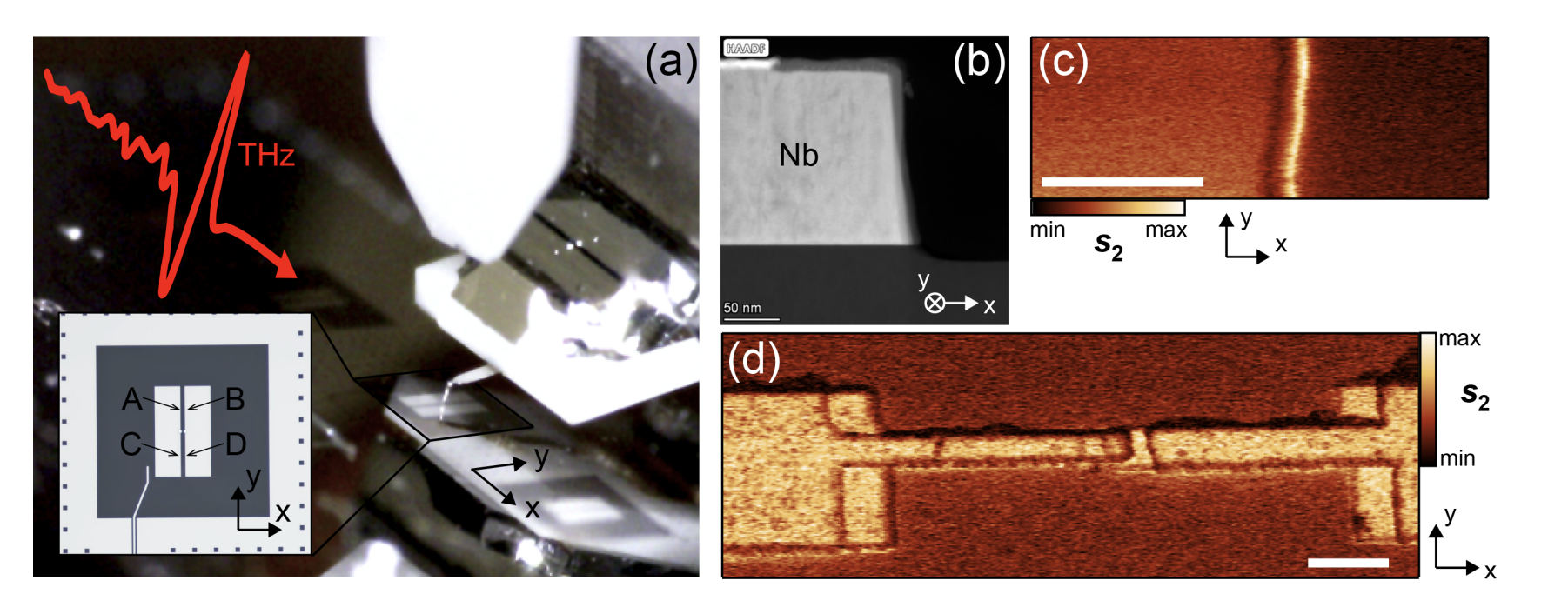 Terahertz Imaging Reveals Coherence Limits in Superconducting Qubit Devices.