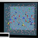 A molecular dynamics simulation on screen