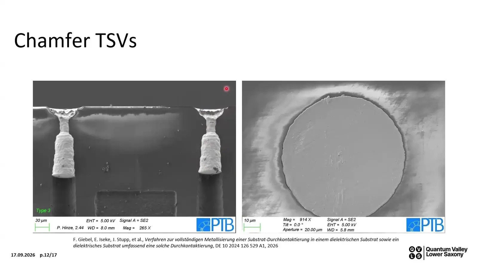 Electron micrographs of chamfered through glass vias filled with gold for multilayer surface electrode ion traps