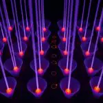 Quantum Chaos Diminishes Within Ultracold Atomic Systems