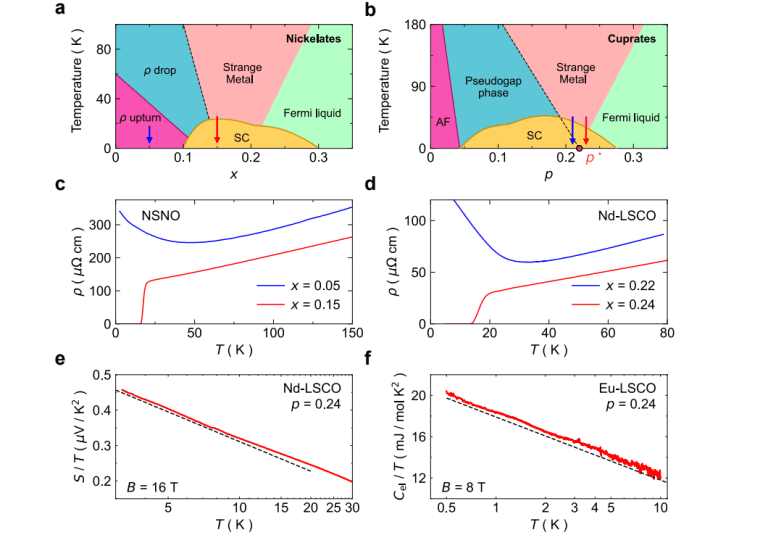 Phase diagrams and transport measurements for nickelates and cuprates showing strange metal, superconducting, and pseudogap regions with resistivity and heat capacity data