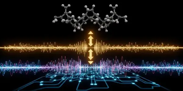 Quantum Simulations with Just 42 Parameters Accurately Model Atomic Nuclei