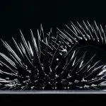 Ferrofluid spiking along field lines