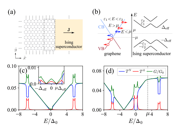 Exploring Ising Superconductor Resilience in Andreev Reflection and Interference Effects