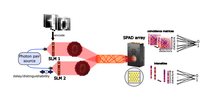 Quantum Machine Learning Boosts Image Classification with Photon Networks.