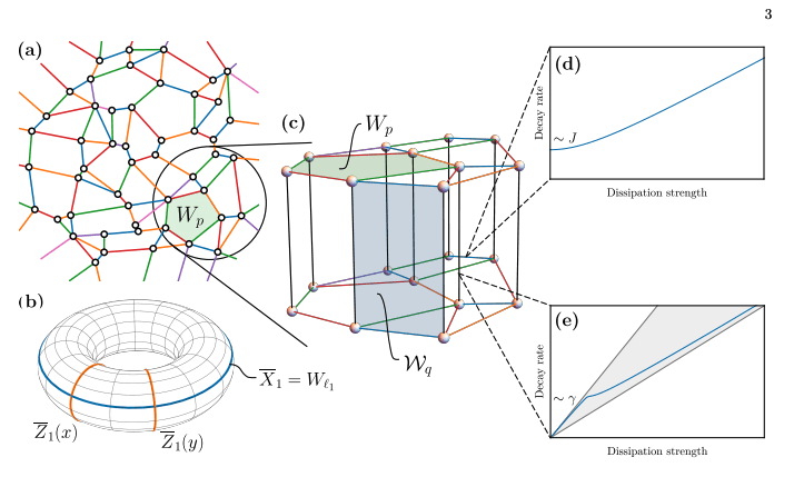 Dissipative Spin Models Reveal Novel Topological Order and Relaxation Dynamics