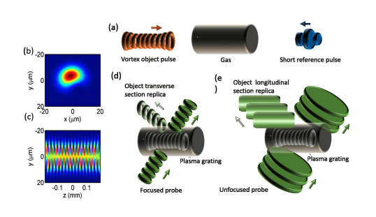 Plasma Holography Records and Reconstructs Ultrafast Laser Pulse Dynamics
