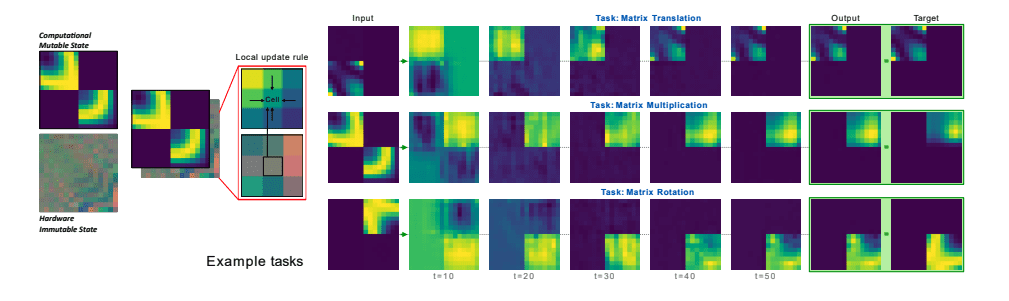 Neural Cellular Automata Achieve Universal Computation in Continuous Space