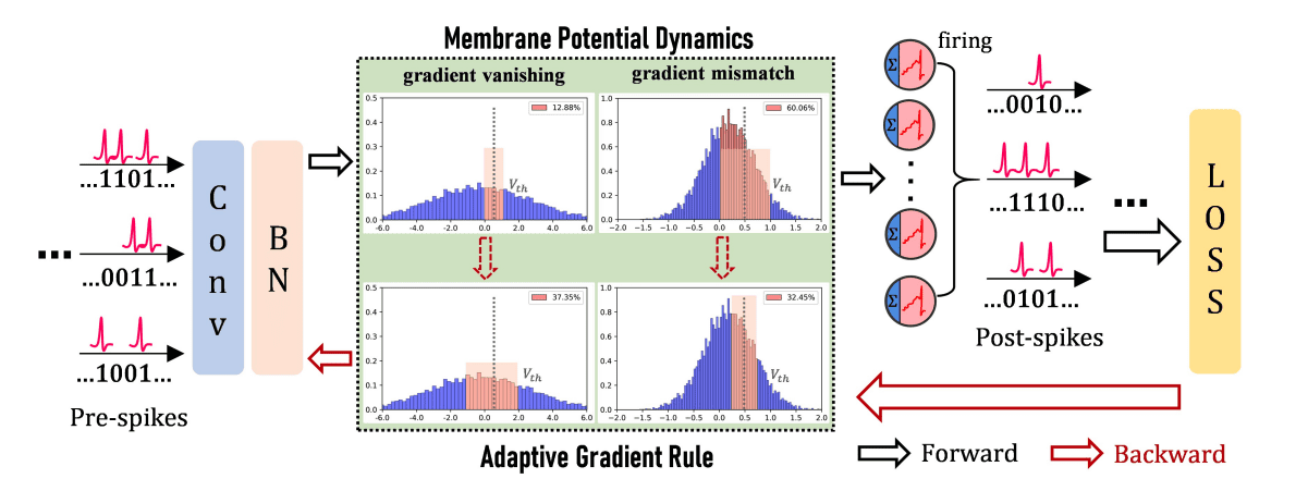 Adaptive Spiking Neural Networks Enhance Learning and Reduce Energy Consumption.