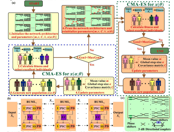 Efficient Neural Networks: Pruning and Robustness in Optical Computing.