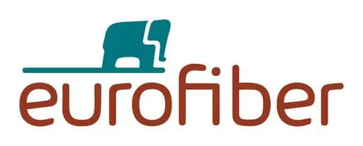 Eurofiber netherlands quantum computing companies