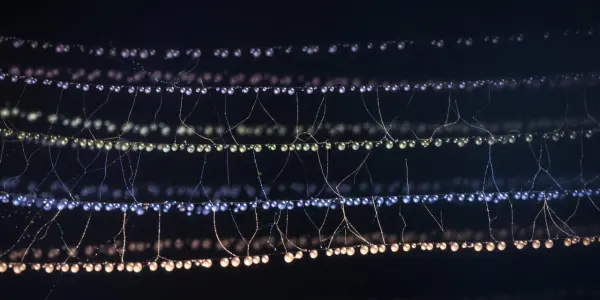 Researchers Classify Quantum Data Using Polynomial Measurements