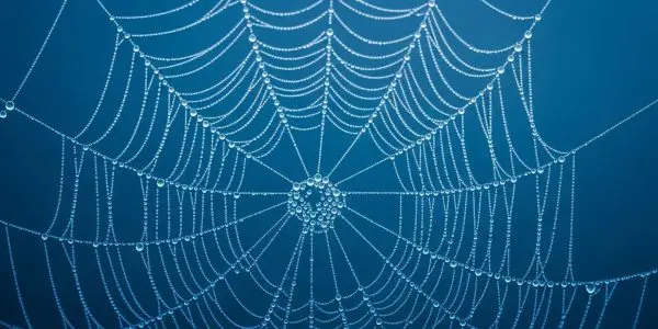 Researchers Create Efficient Single Photon Source Using Quantum Dots