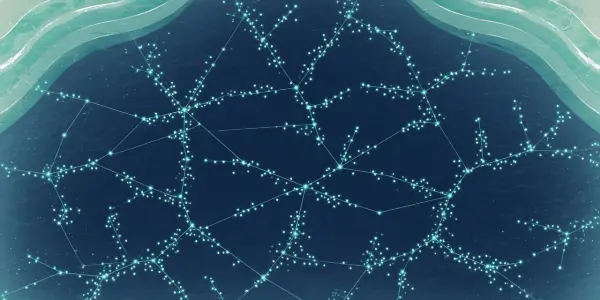 Researchers Find Defects Induce Scale-Free Quantum Walk Localisation