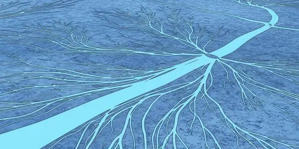 Researchers Generate 33-Vertex Sets, Aiding Contextuality Searches