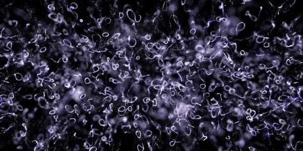 Researchers Image Spatial Vacuum Fluctuations of a Quantum Field