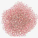 RIKEN protein model reaches 12,635 atoms using quantum-classical computing
