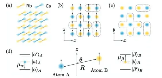 Strathclyde University Physicists Enhance Quantum Computation with Interspecies Interactions