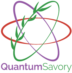 Quantumsavory Achieves Unified Simulation, Enabling Rapid Accuracy-Performance Tradeoffs for Computing and Networking