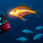 Cybersecurity defences protecting digital infrastructure from threats