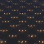A dark, textured surface is overlaid with a grid of glowing golden nodes connected by thin lines, creating a network.