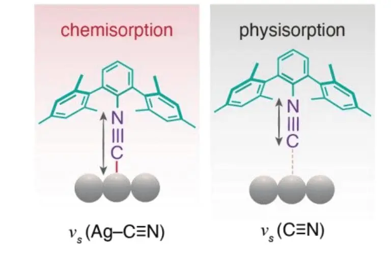 Comparison of chemisorption and physisorption of a nitrile group on a metal surface, showing strong Ag–C≡N bonding versus weak noncovalent interaction.