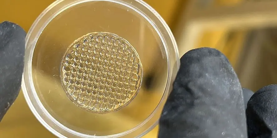 3D-Printed Skin Breaks Ground as Alternative to Animal Testing for Cosmetics Nanoparticles