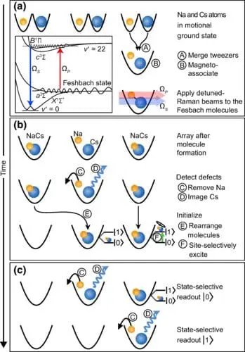 Harvard-MIT Team Advances Quantum Science with Polar Molecules and Fluorescence Detection