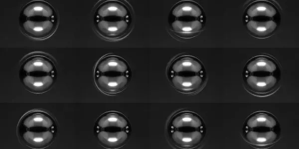 Molecules Trapped by Light Reveal Quantum Spin Dynamics