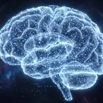 A brain rendered as a lattice of glowing points