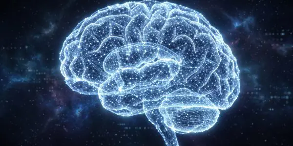 A brain rendered as a lattice of glowing points