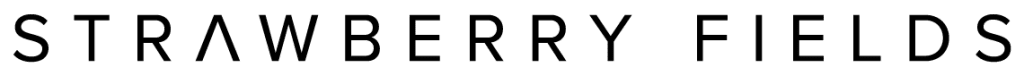 Quantum Programming Languages To Learn In 2024 Quantum Programming Languages to Learn in 2024