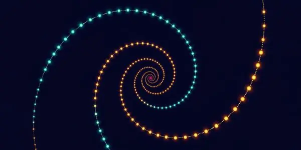 Symmetries, Not Disorder, Explain Exponential Growth in Quantum Systems