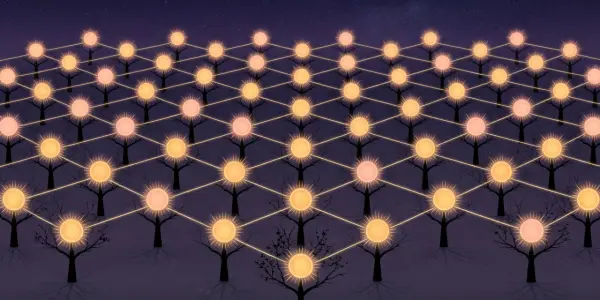 A dark purple landscape features a grid of trees with glowing orange orbs for crowns, connected by faint lines.