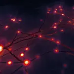 Tempo Method Limits System Size Impact with Reduced Network Dimensions